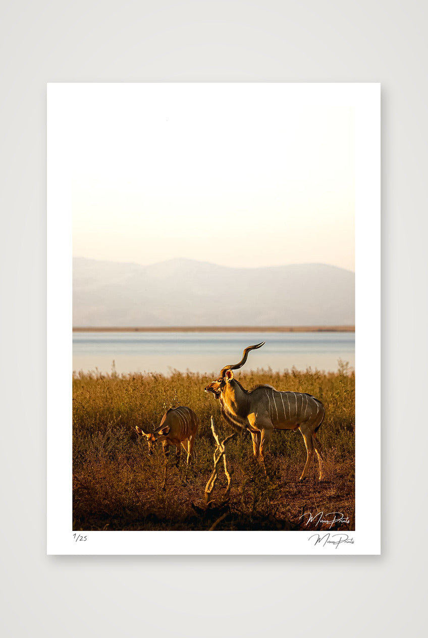 Golden Solitude — A2 (42×59cm, 17×23") Print only