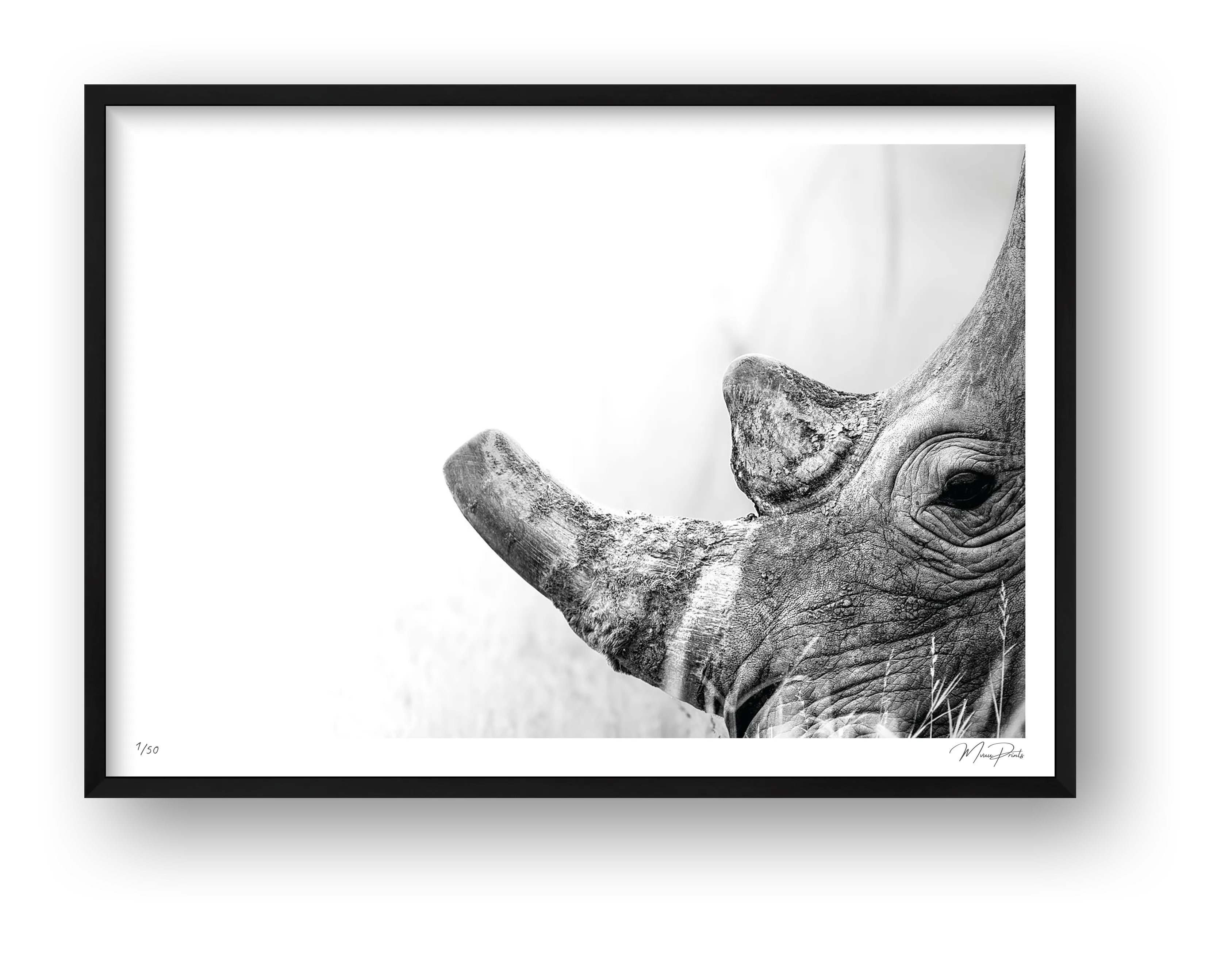 Boldness — framed
