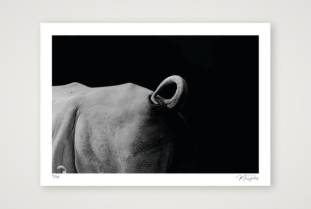 Dark Night — A2 (59×42cm, 23×17") Print only