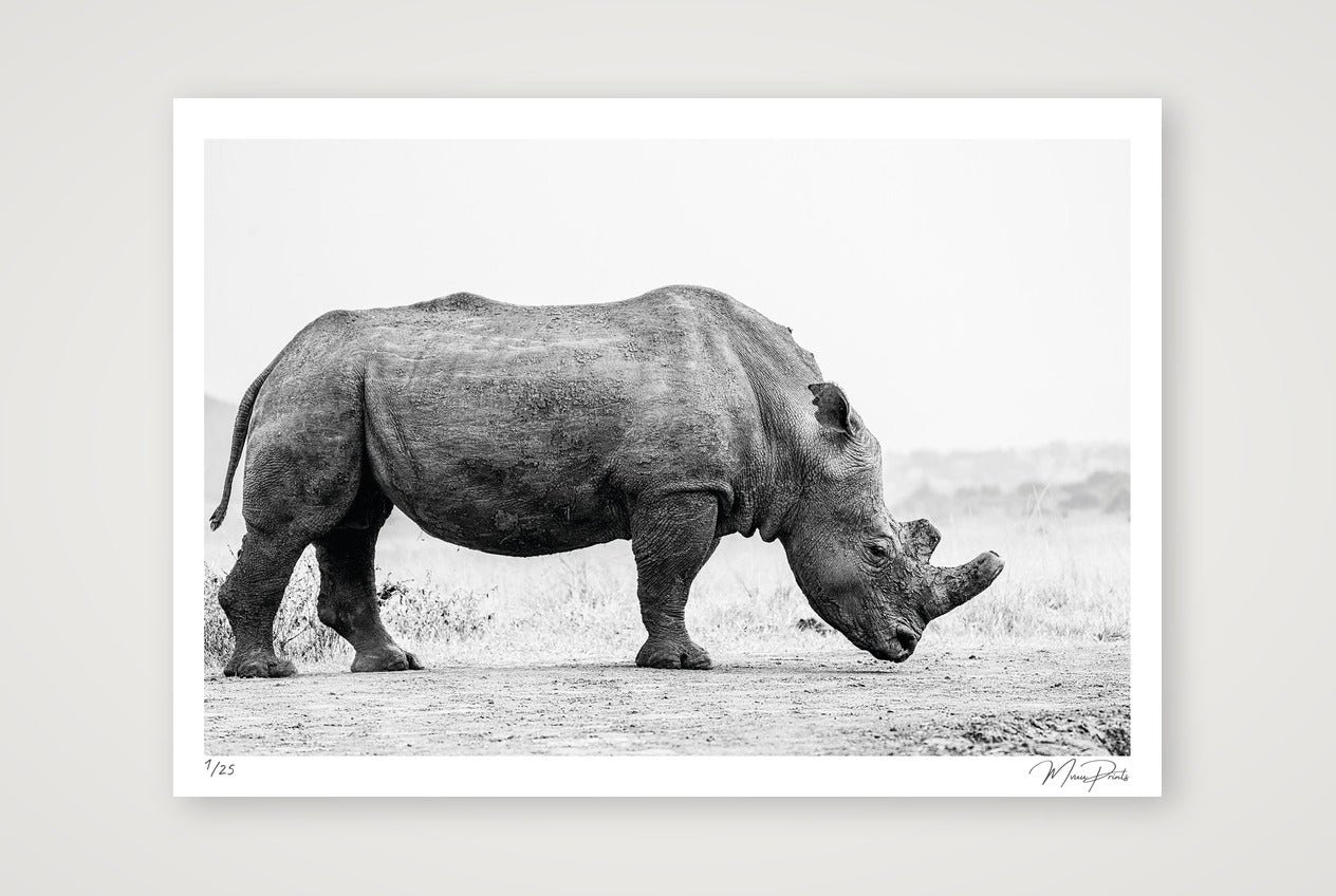 Lateral Bulk — A0 (119×84cm, 47×33") Print only
