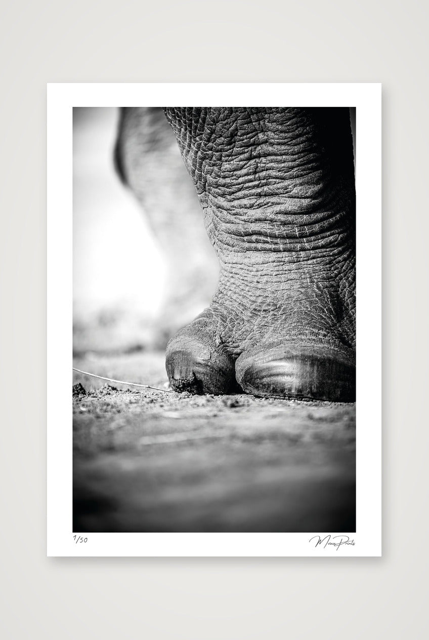 The Standing Guard — A2 (42×59cm, 17×23") Print only