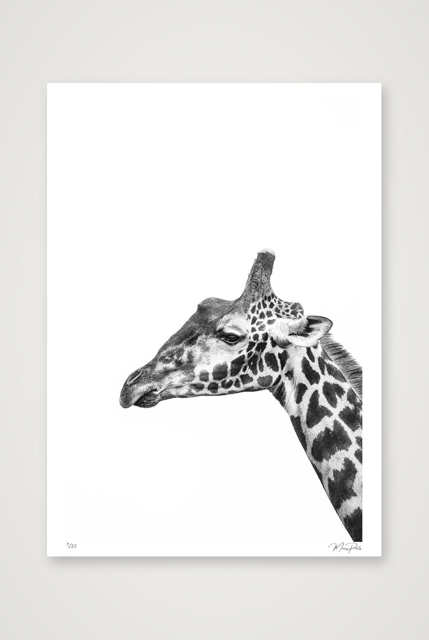Watchtower — A1 (59×84cm, 23×33") Print only