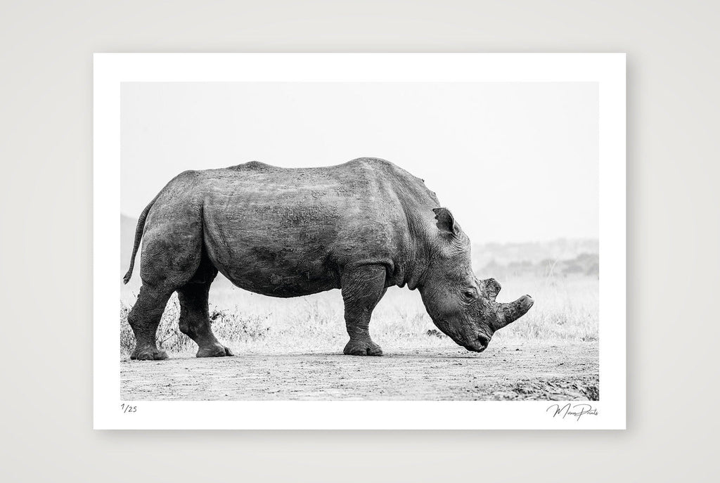Lateral Bulk — A2 (59×42cm, 23×17") Print only