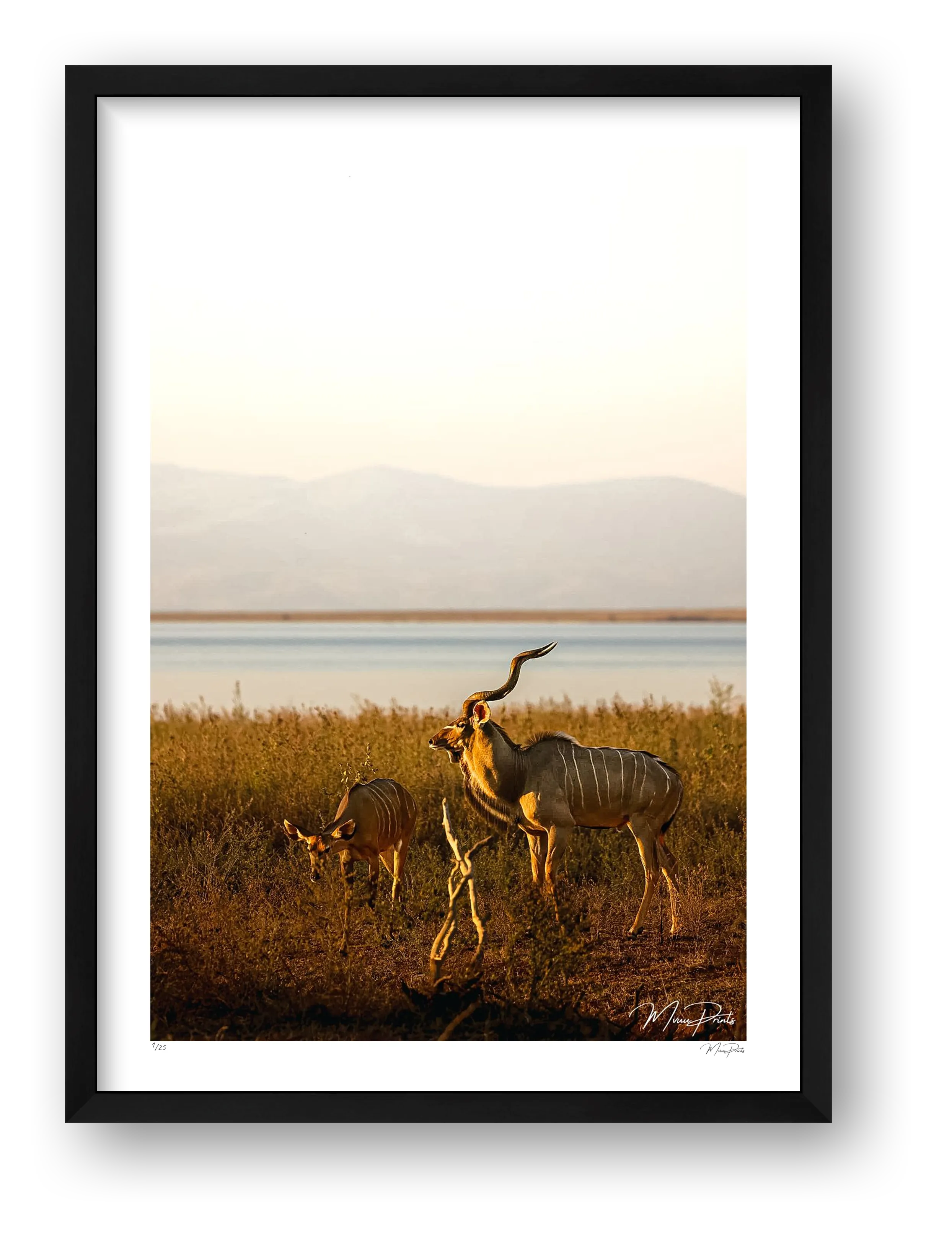 Golden Solitude — framed
