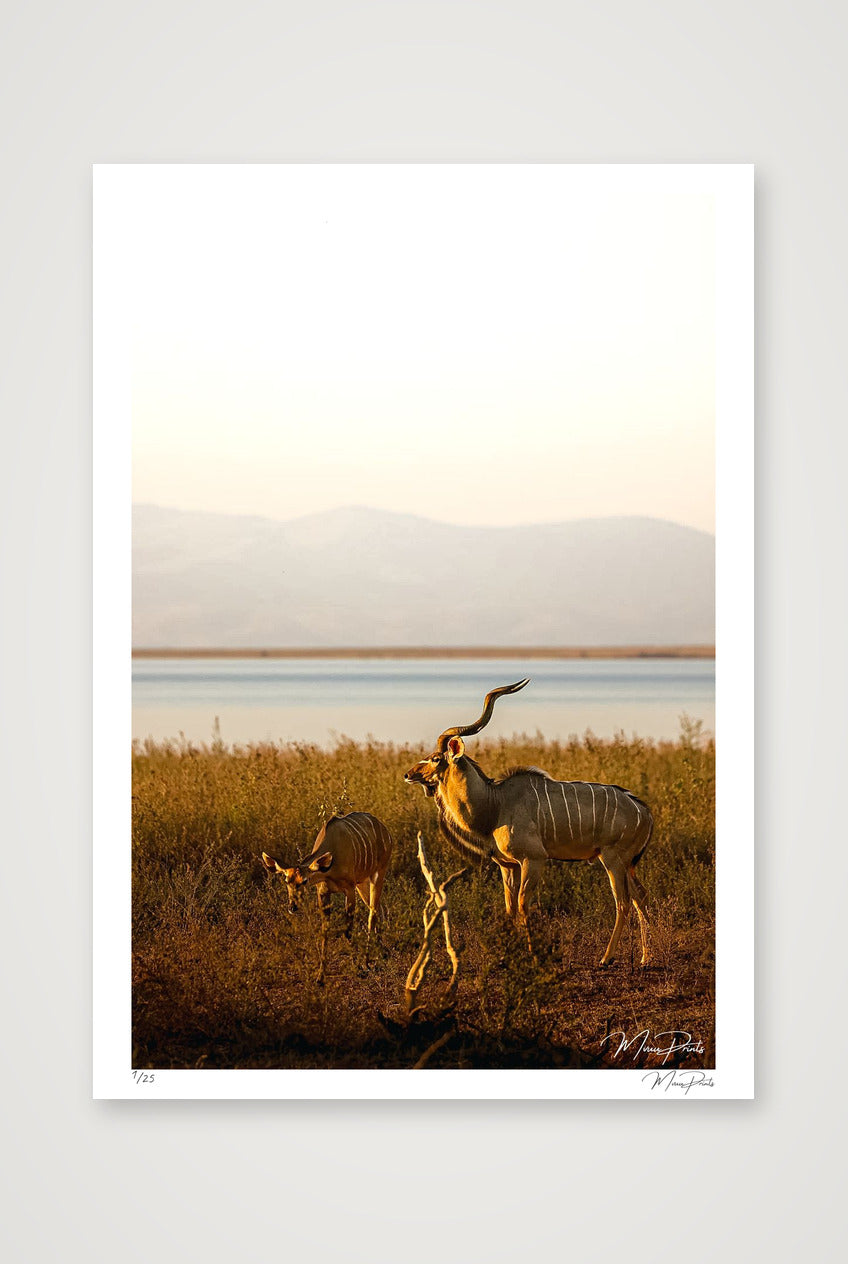 Golden Solitude — A0 (84×119cm, 33×47") Print only