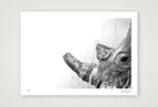 Boldness — A3 (42×30cm, 17×12") Print only