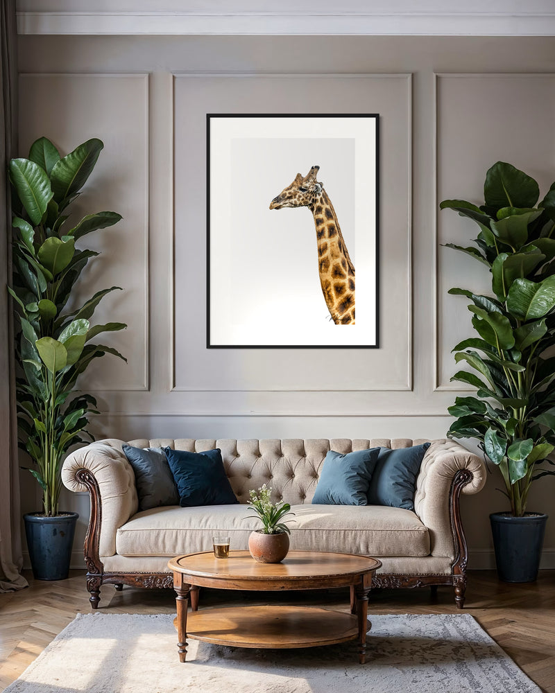 Loved by collectors
