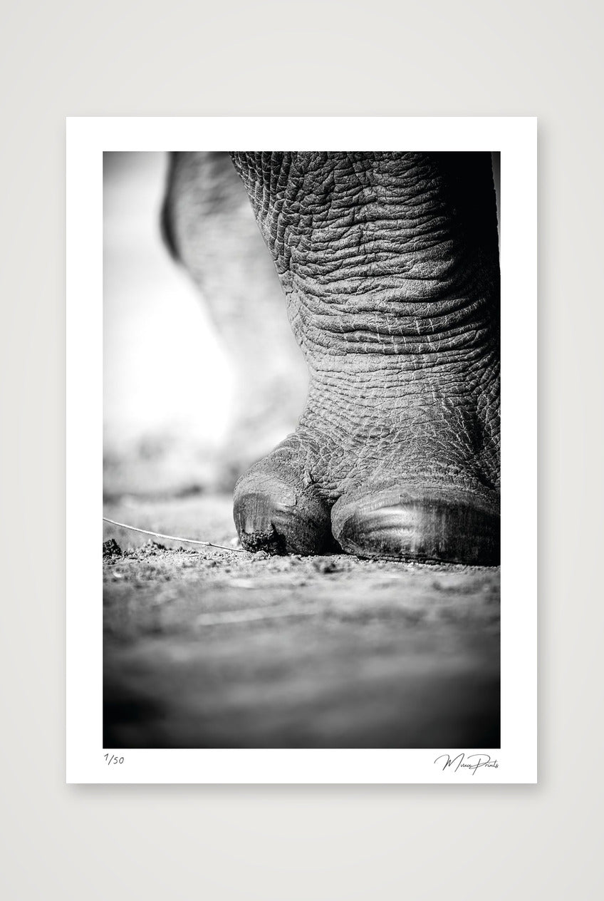 The Standing Guard — A3 (30×42cm, 12×17") Print only