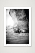 The Standing Guard — A3 (30×42cm, 12×17") Print only
