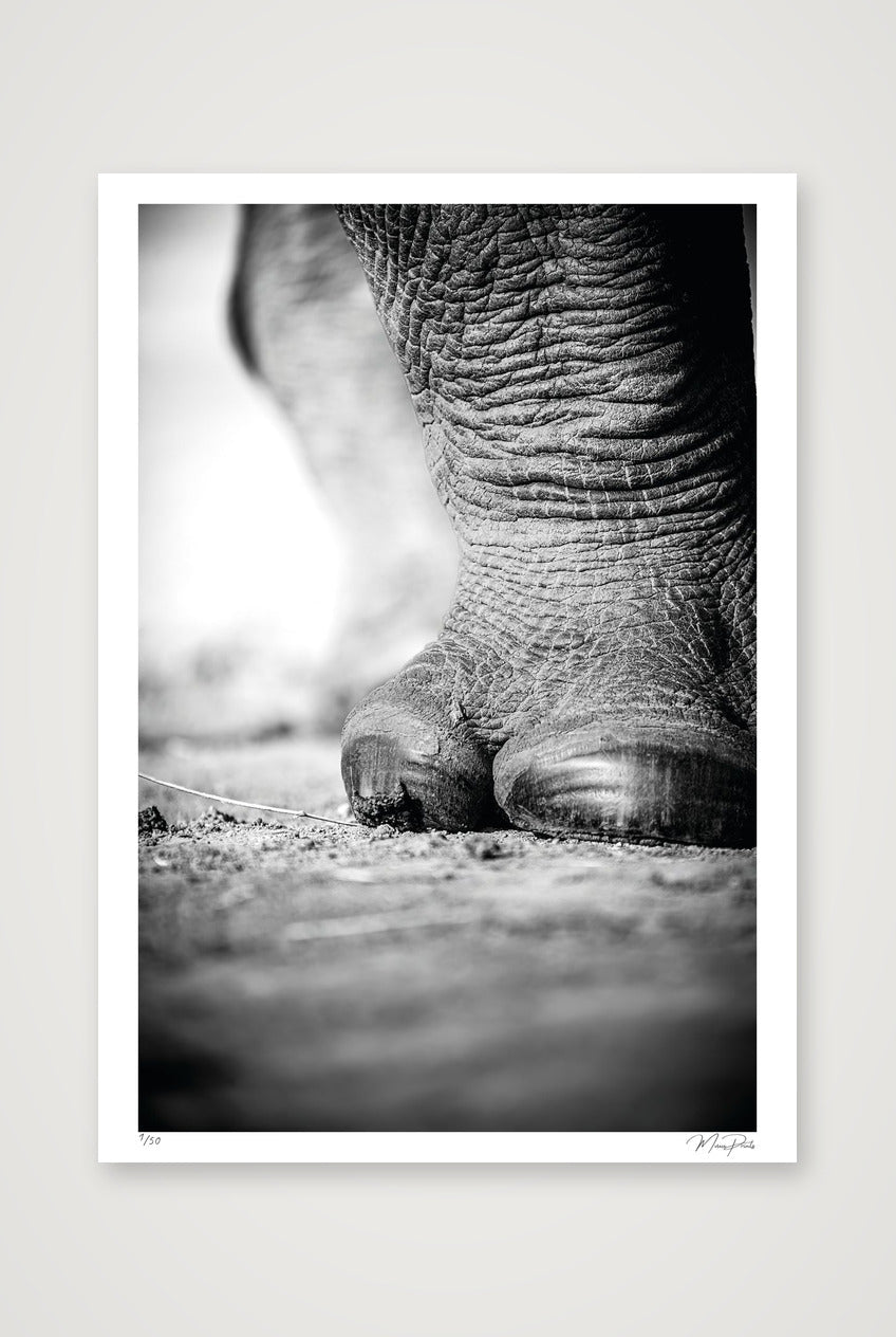 The Standing Guard — A1 (59×84cm, 23×33") Print only