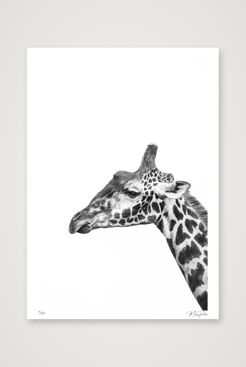 Watchtower — A0 (84×119cm, 33×47") Print only