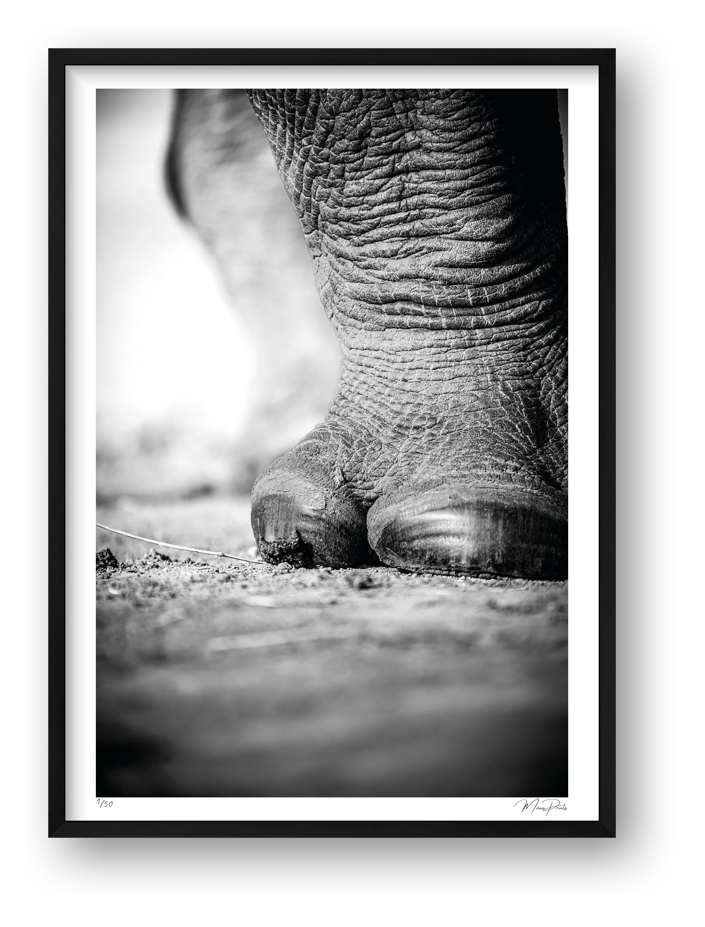 The Standing Guard — framed
