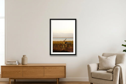 Golden Solitude — A2 (42×59cm, 17×23") Black Frame