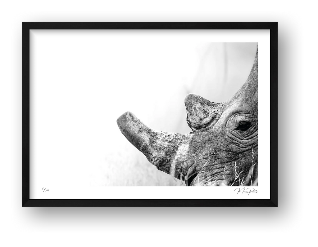 Boldness — framed