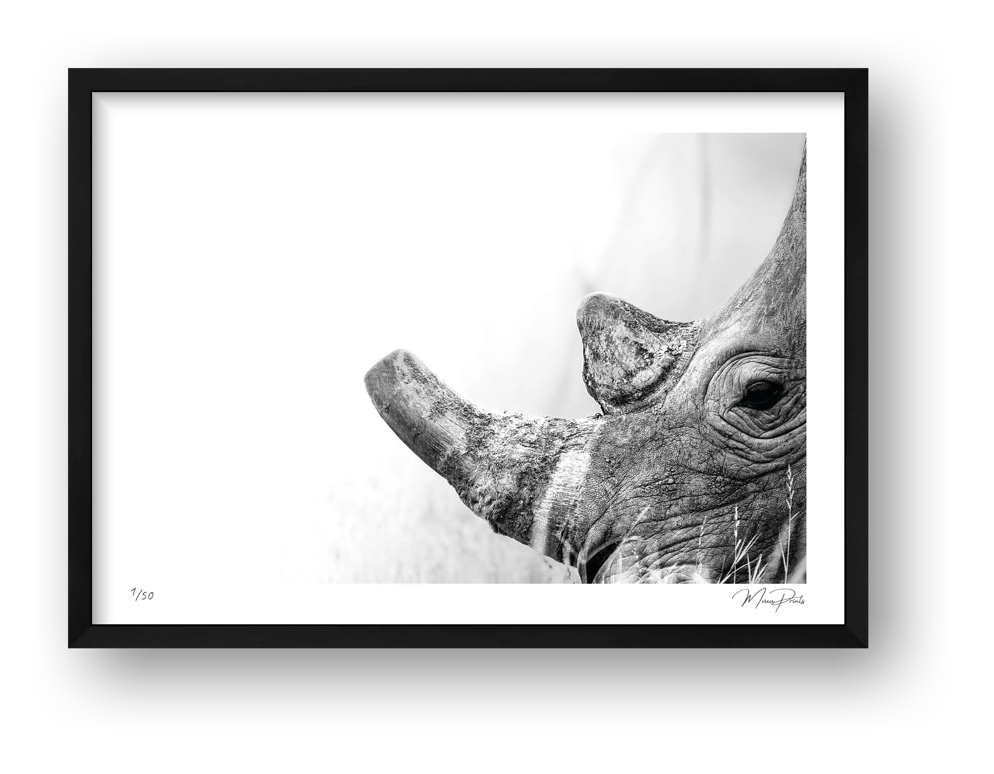 Boldness — framed
