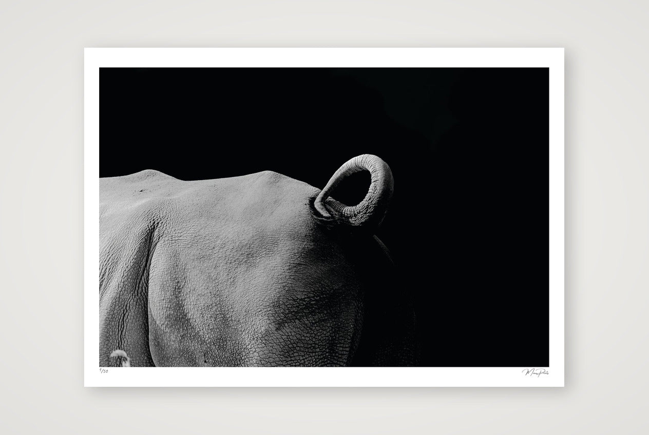 Dark Night — A0 (119×84cm, 47×33") Print only