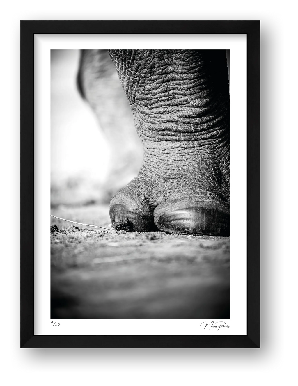 The Standing Guard — framed